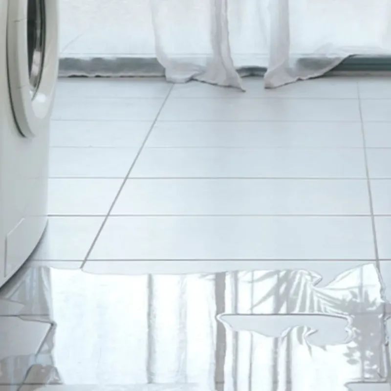 Appliance Leak Cleanup in Orleans, IN