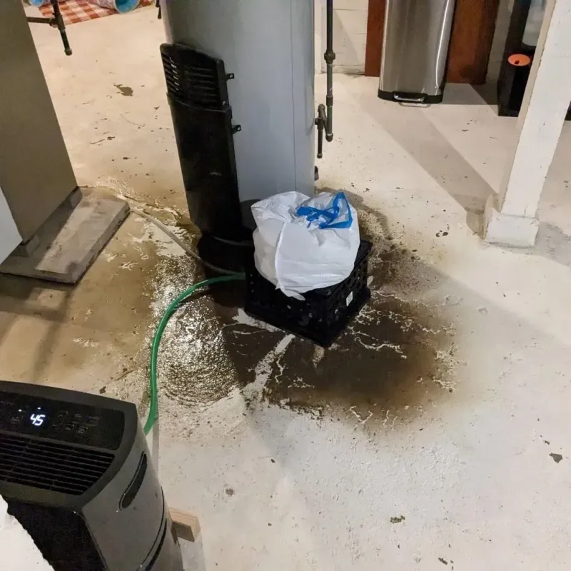 Sewage Backup Cleanup Service in Orleans, IN